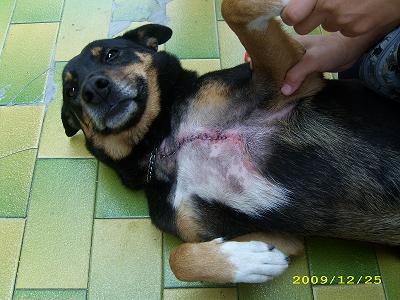 1262446546---qq ok1.jpg